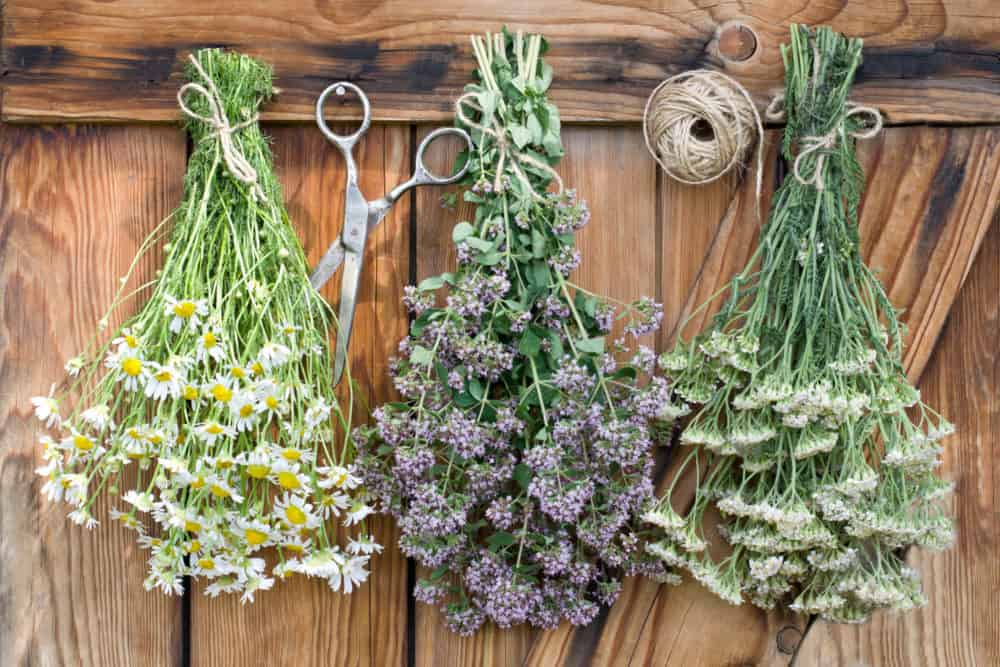 Hanging flowers to dry is an easy way to preserve your garden blooms.